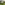 Charming Yellow House With Wooden Windows Green Grassy Garden (1) (1)